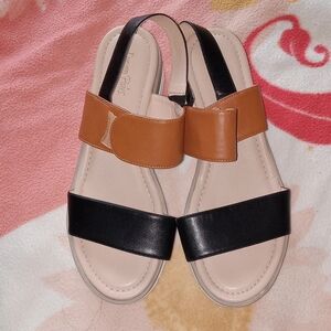 Brown and Black Women's Sandals